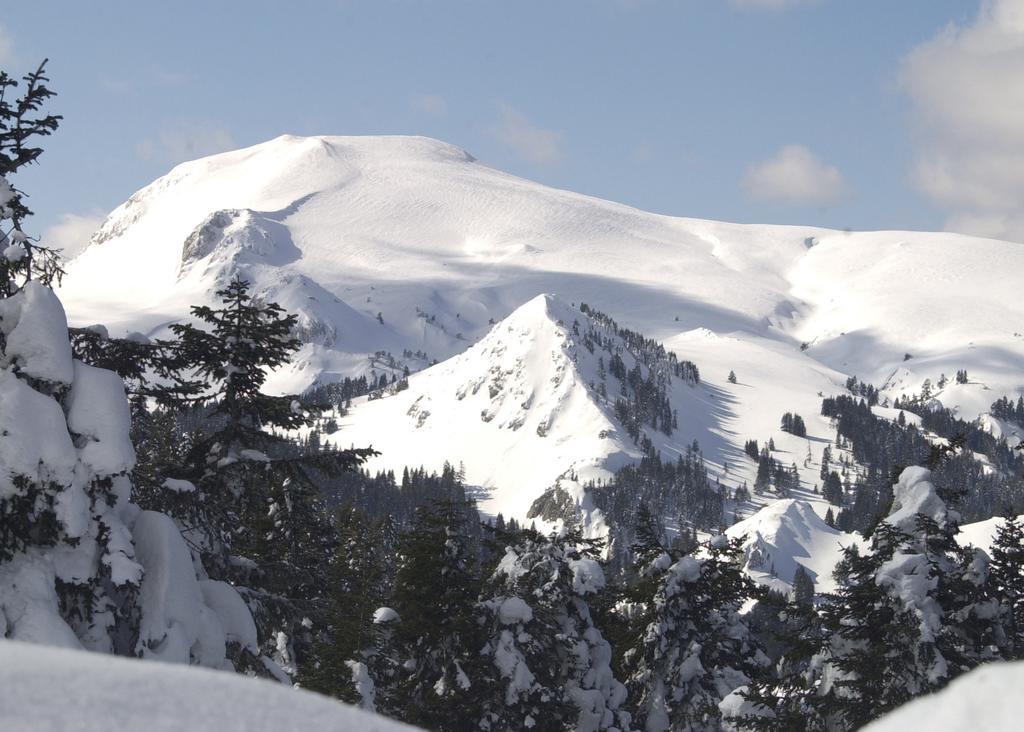 Jura Hotels Ilgaz Mountain Resort ภายนอก รูปภาพ
